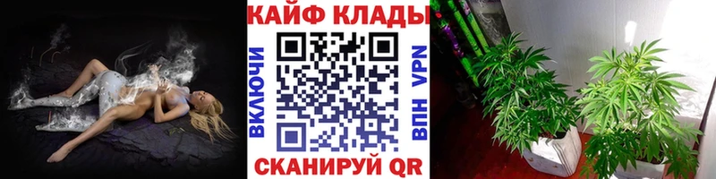 Какие есть наркотики Кирс Канабис А ПВП MDMA Гашиш Меф мяу мяу Кокаин
